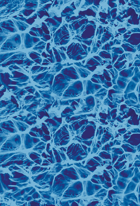 Megna In-Ground Pool Liner Collection