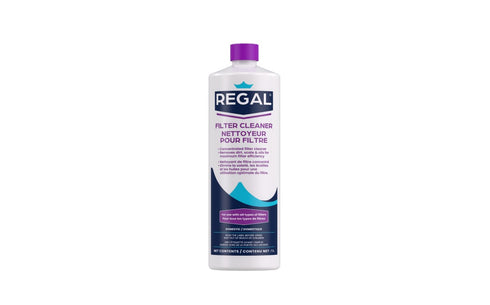 Regal Chemicals - Filter Cleaner - 1 L