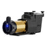 Pompe - Hayward Super Pump® XE VS OmniX™ 1,65 HP - VSP26615